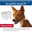 Best Fit® Mesh Dog Muzzle
