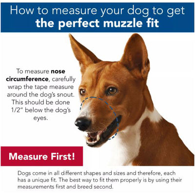 Best Fit® Mesh Dog Muzzle