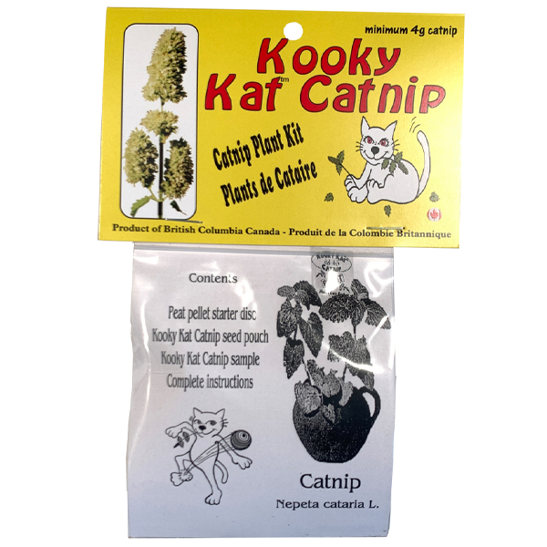 Kooky Kat™ Catnip Plant Kit