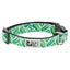 RC Pets Clip Collar