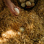 FarmStraw, COARSE Shread 3 cu ft Bag