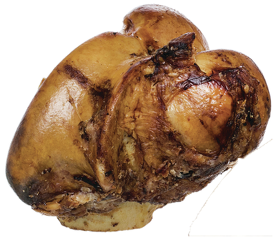Redbarn® Meaty Knuckle Bone