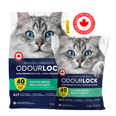OdourLock® Calming Breeze Scented Clumping Cat Litter
