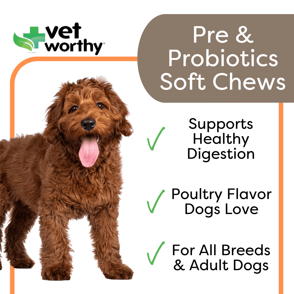 Vet Worthy® Pre & Probiotic Soft Chews for Dogs