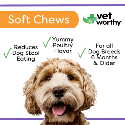 Vet Worthy® Stop Stool Ingestion Soft Chews for Dogs