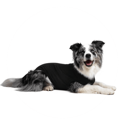 Suitical Recovery Suit® for Dogs