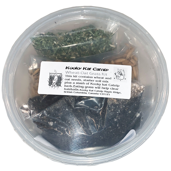 Kooky Kat™ Wheat-Oat Grass Kit