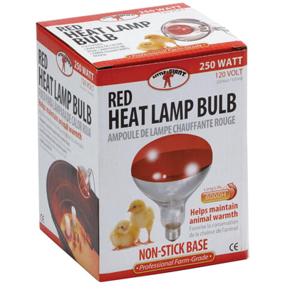 Little Giant® 250 Watt Red Bulb For Brooder Lamp - Critter Country Supply Ltd.
