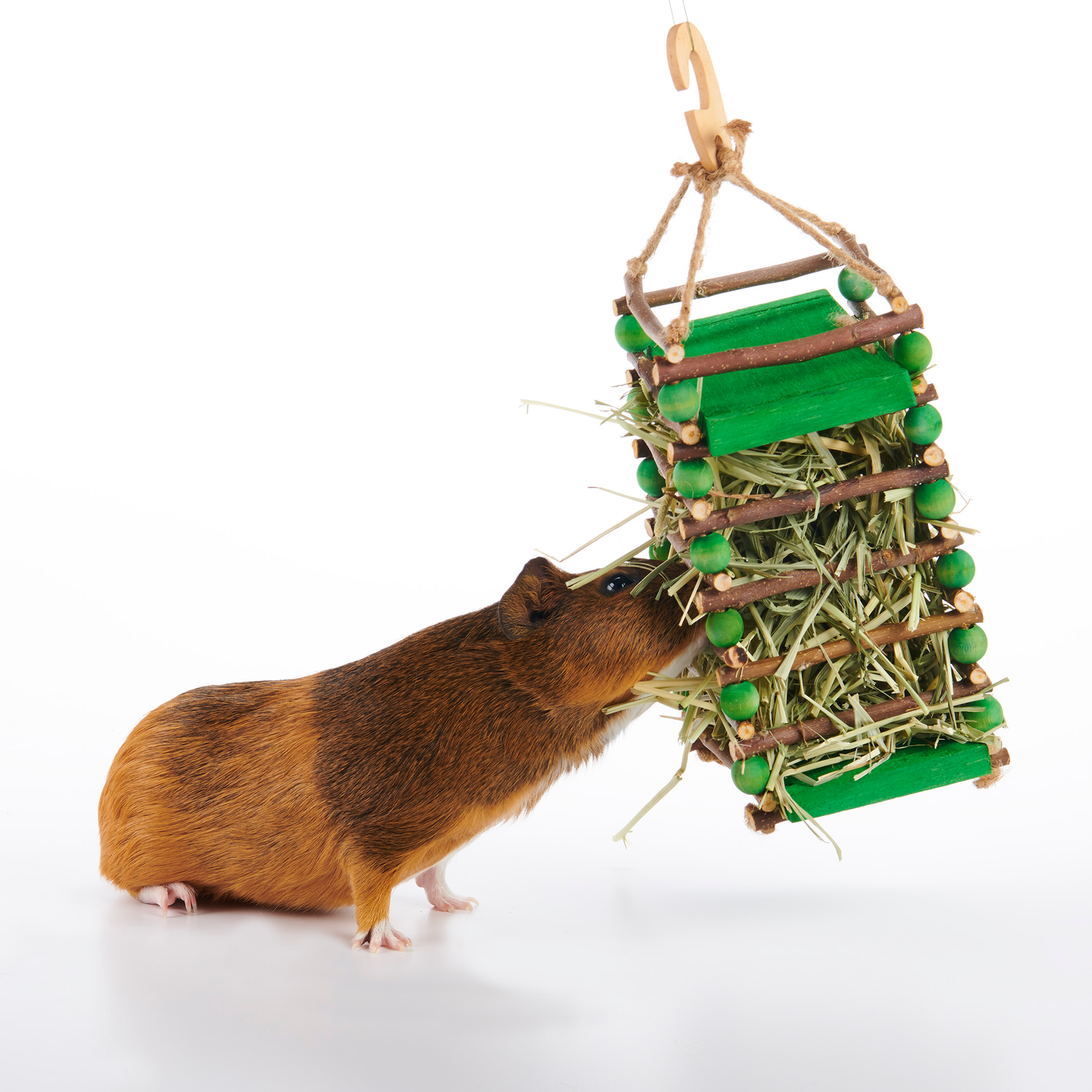 Oxbow® Enriched Life - Apple Stick Hay Feeder
