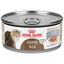ROYAL CANIN® Aging 12+ Years Loaf in Sauce