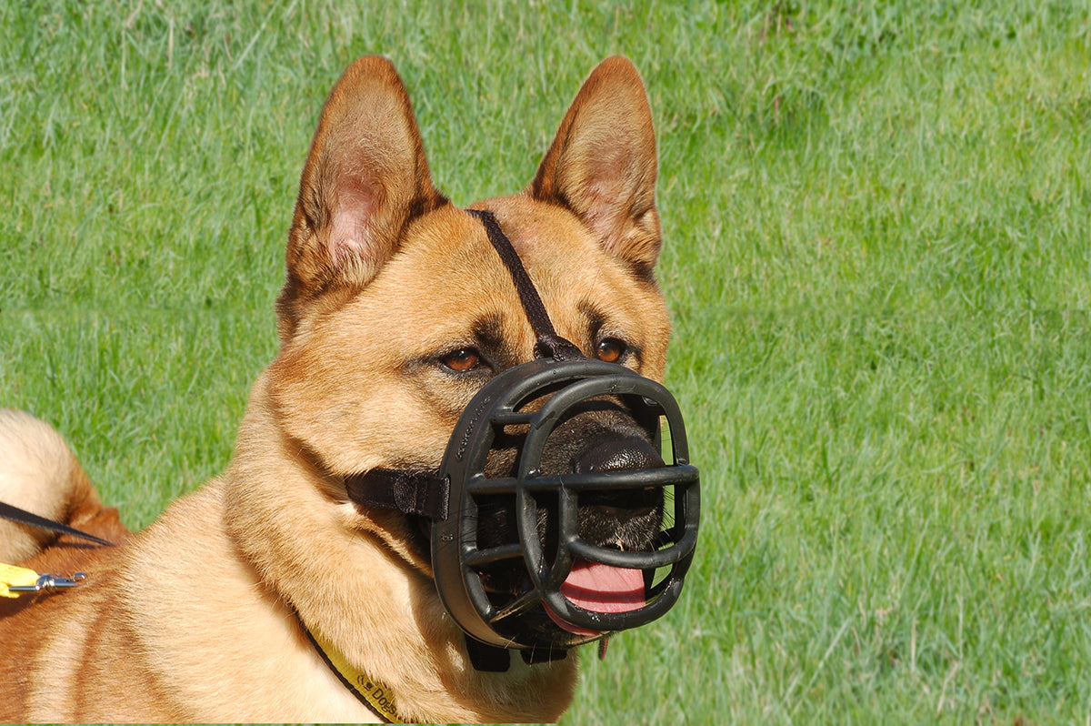 Baskerville® Ultra Muzzle - Critter Country Supply Ltd.