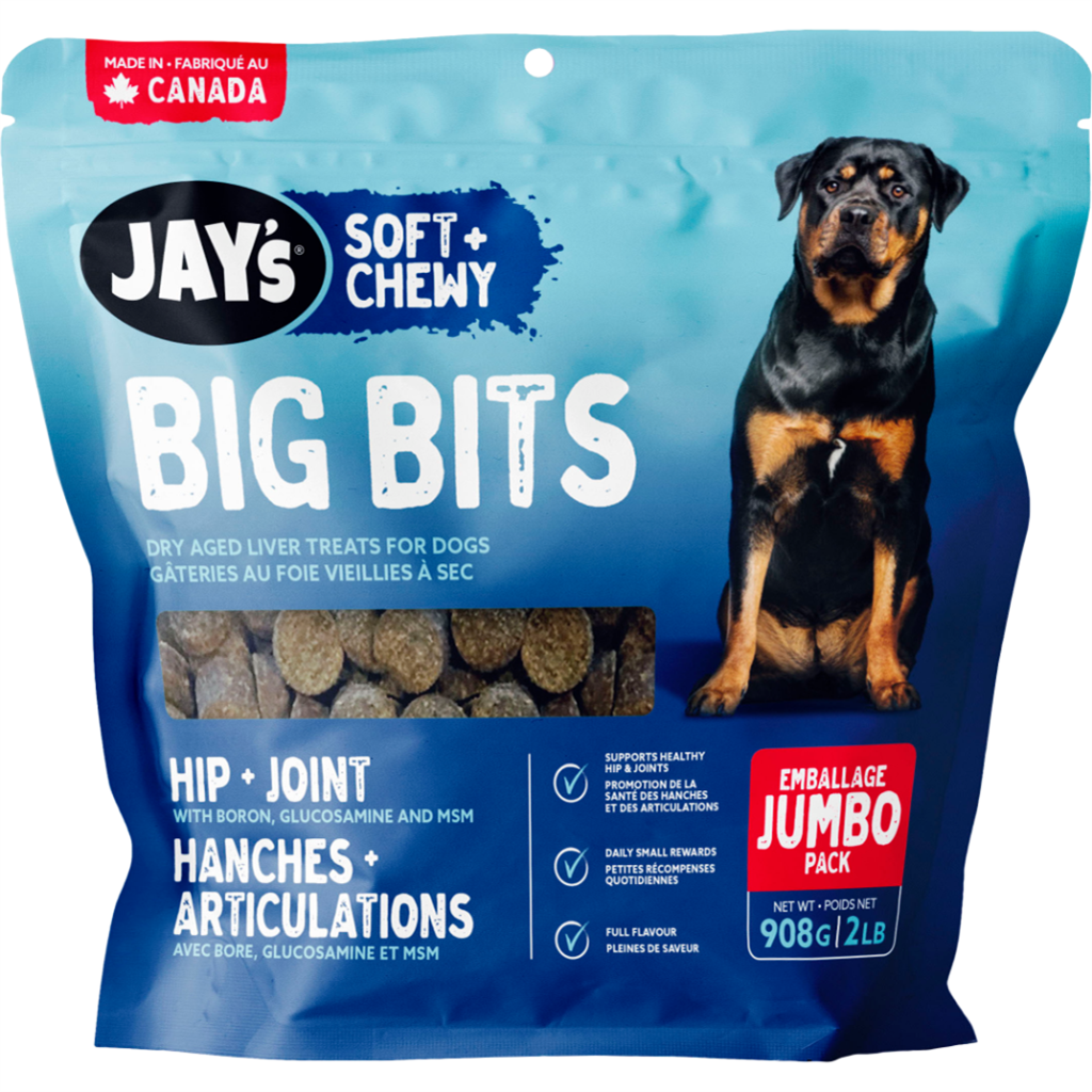 Soft dry 2024 food for dogs
