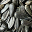 Pick of the Birds® Black Oil Sunflower Seeds