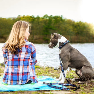 RC Pets Clip Collar