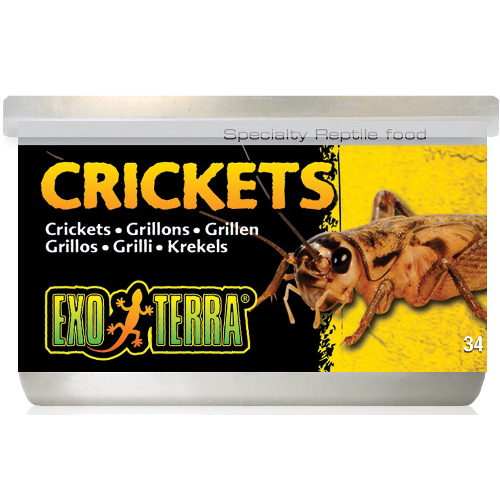 Exo Terra® Crickets - 34 g (1.2 oz)