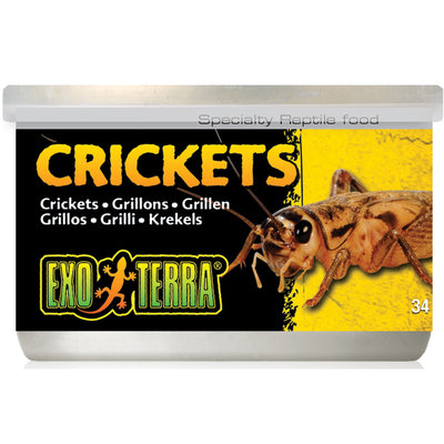 Exo Terra® Crickets - 34 g (1.2 oz)