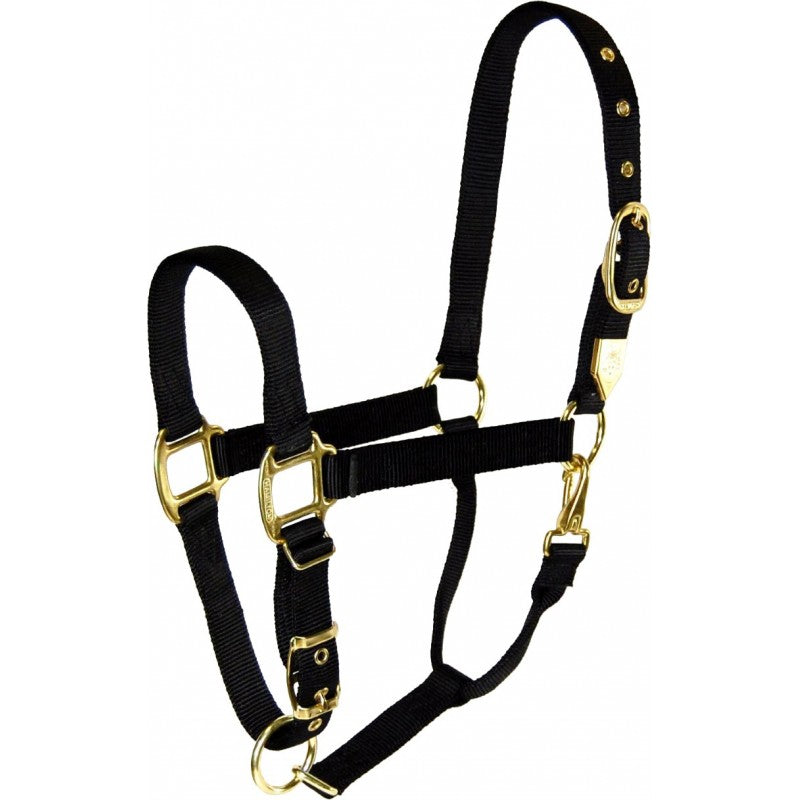 Hamilton® 1" Deluxe Halter (Adjustable Chin/Snap at Throat) - Critter Country Supply Ltd.