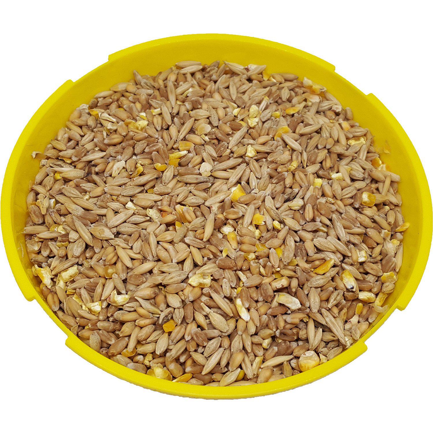 HI-PRO FEEDS® Poultry Feed Classic Hen Scratch – Critter Country Supply ...