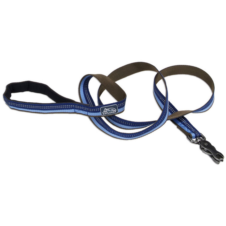 Scissor snap sale dog leash