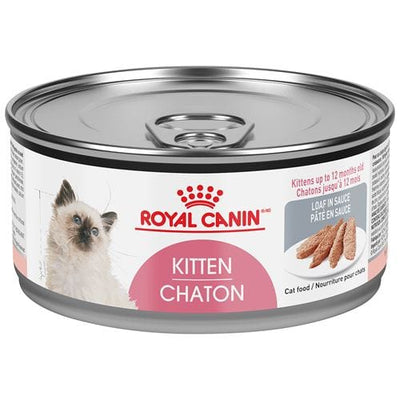 ROYAL CANIN® Kitten Loaf in Sauce
