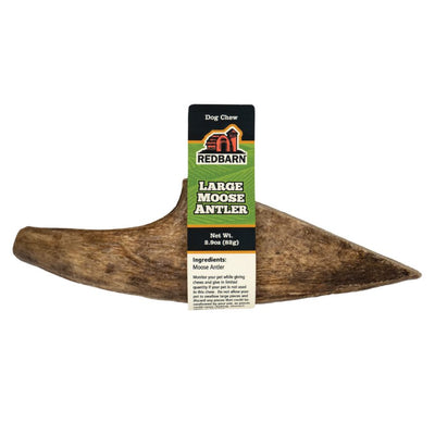 Redbarn® Large Moose Antler