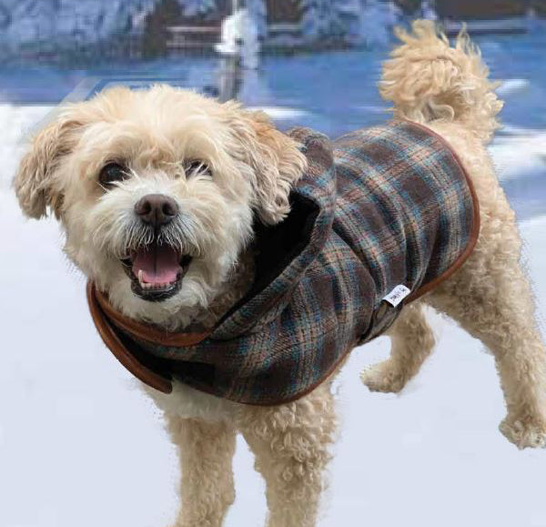 Doggie-Q Lumberjack Coat