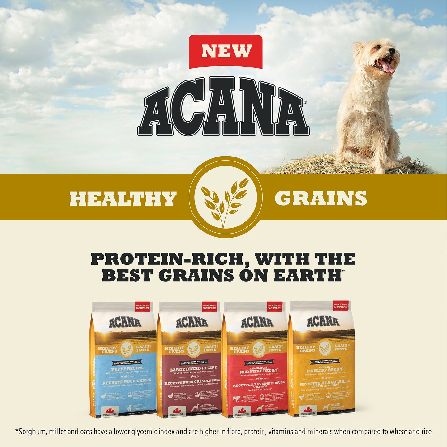 ACANA® HEALTHY GRAINS Free-Run Poultry Recipe