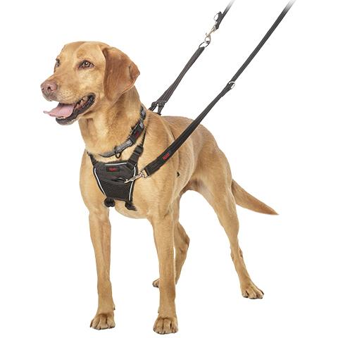 Anti pull harness for large dogs best sale