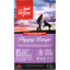 Orijen® PUPPY LARGE Biologically Appropriate™ Dog Food