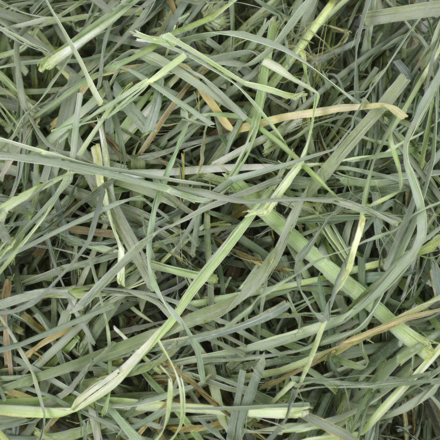 Oxbow® Orchard Grass Hay