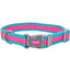 Pet Attire® Pro Reflective Adjustable Dog Collar