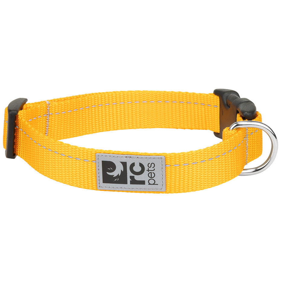 RC Pets Primary Clip Collar