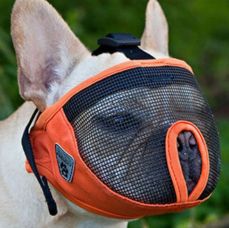 Canine Friendly Short Snout Muzzle