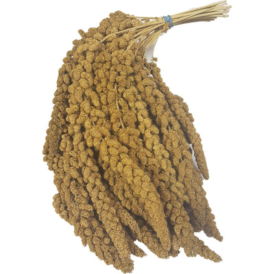 Canadian Spray Millet - 8 Count (Bulk) - Critter Country Supply Ltd.