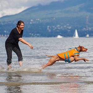 RC Pets Tidal Life Vest - Best Dog Life Jacket