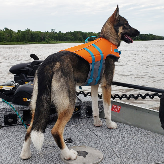 German shepherd hotsell life vest