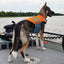 RC Pets Tidal Life Vest - Best Dog Life Jacket