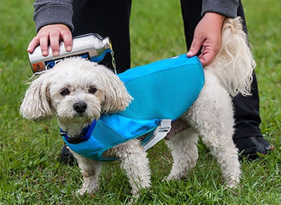 Canine Equipment Ultimate Cooling Coat - Critter Country Supply Ltd.