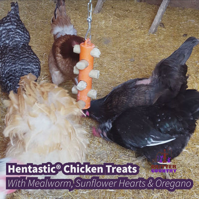 Hentastic® Chicken Treats with Mealworm, Sunflower Hearts & Oregano 11.6oz (4x2.9oz)